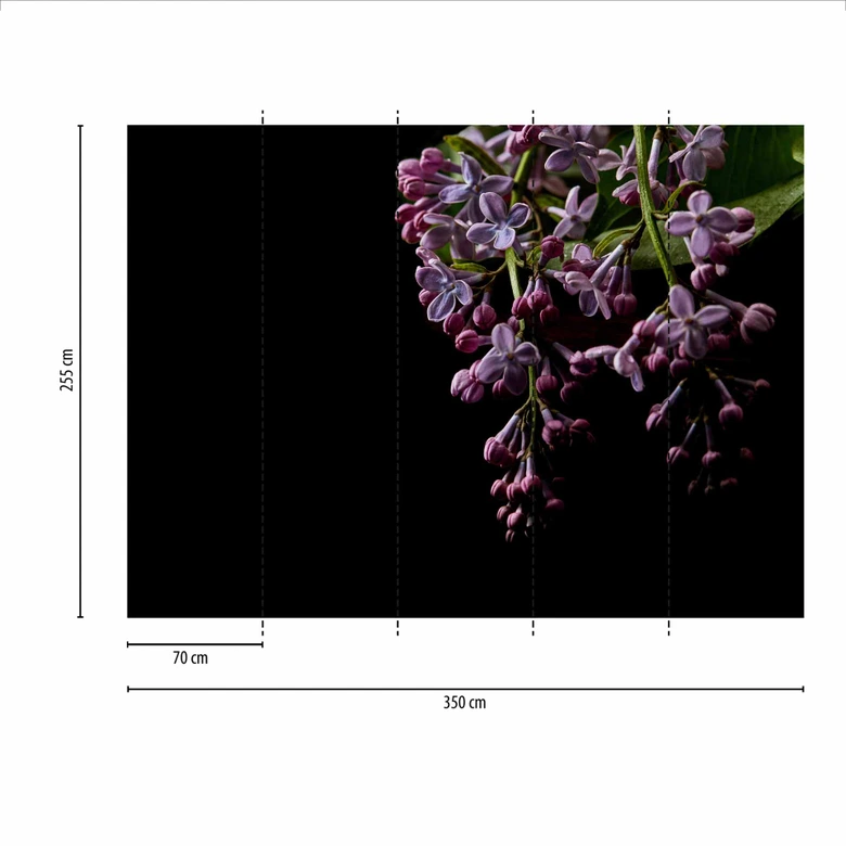 Fototapete Blumen DarkFlowers1 in schwarz lila - Vliestapete Designwalls 2 - 2,55 x 3,5 m 
