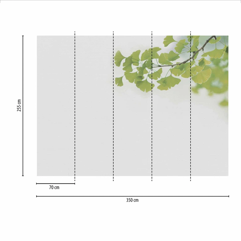 Fototapete Betonoptik Ginkgo1 in grau grün - Vliestapete Designwalls 2 - 2,55 x 3,5 m 