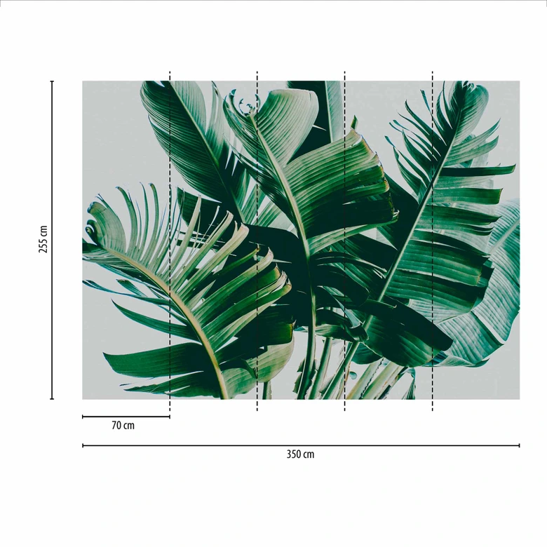 Fototapete Natur PalmFronds1 in grau grün - Vliestapete Designwalls 2 - 2,55 x 3,5 m 