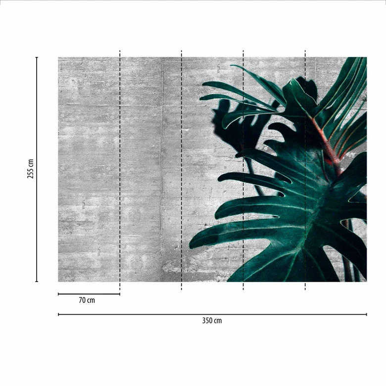 Fototapete Betonoptik ConcretePalm in grau grün - Vliestapete Designwalls 2 - 2,55 x 3,5 m 