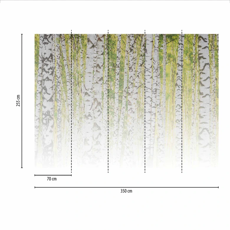 Fototapete Birkenwald BirchForest2 in grau weiß - Vliestapete Designwalls 2 - 2,55 x 3,5 m 