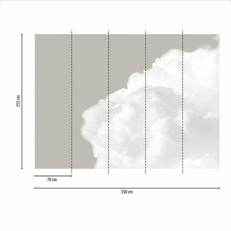 Fototapete Wolken Clouds2 in grau weiß - Vliestapete Designwalls 2 - 2,55 x 3,5 m 
