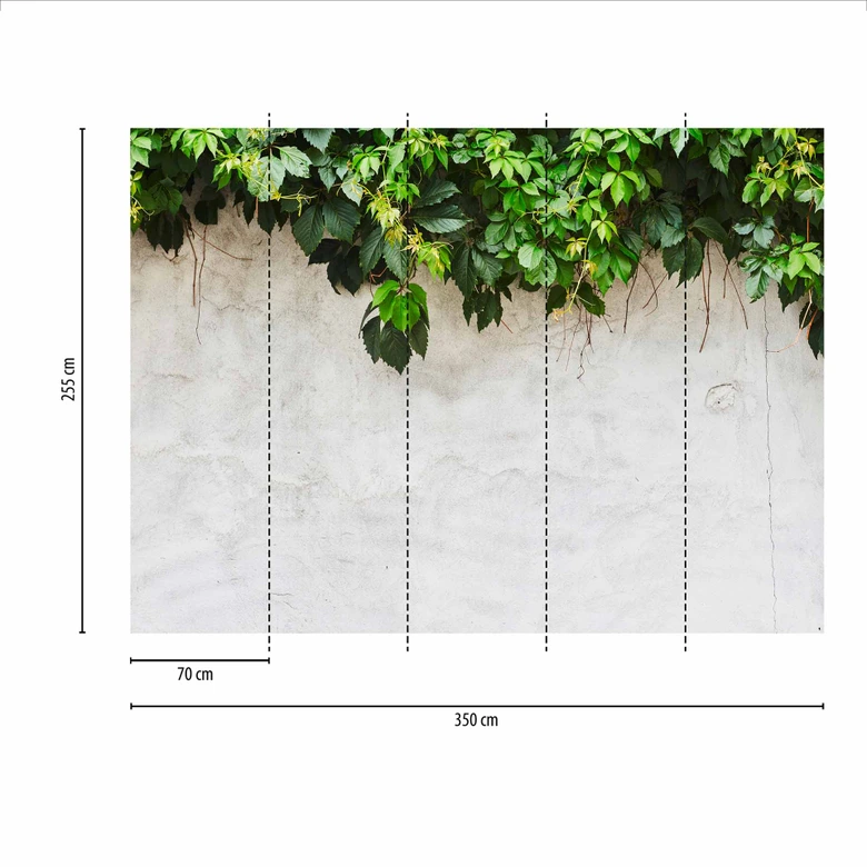 Fototapete Blumen PlantOnWall in grau creme - Vliestapete Designwalls 2 - 2,55 x 3,5 m 