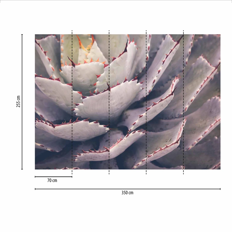 Fototapete Natur Cactusplant in lila grau - Vliestapete Designwalls 2 - 2,55 x 3,5 m 