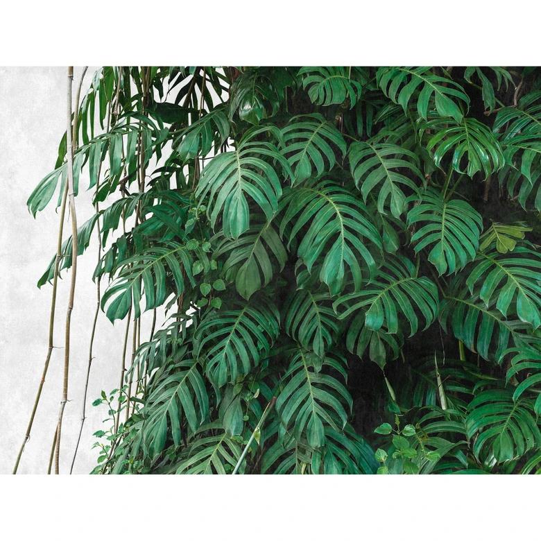 Livingwalls Tapete Monstera Metropolitan Stories THE WALL Vliestapete grün, grau 