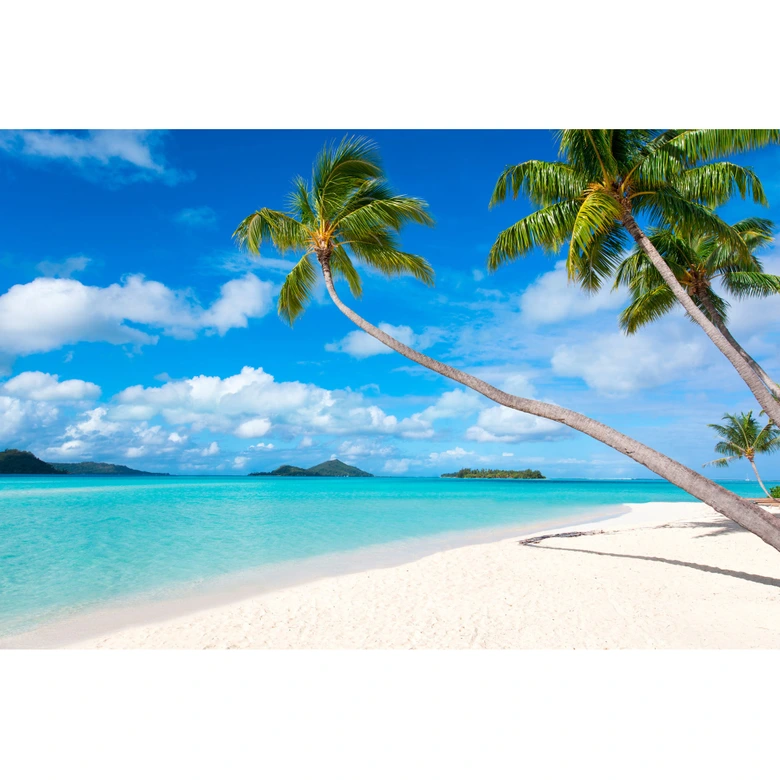 Palmenstrand-Fototapete Karibikflair – Vliestapete 3,75 m x 2,50 m 