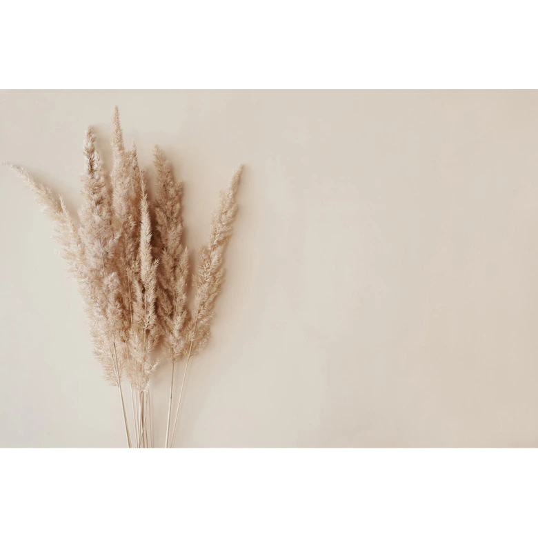 Pampagrasbehang beige natuur 3,75 x 2,50 m - Vliesbehang boho stijl modern 