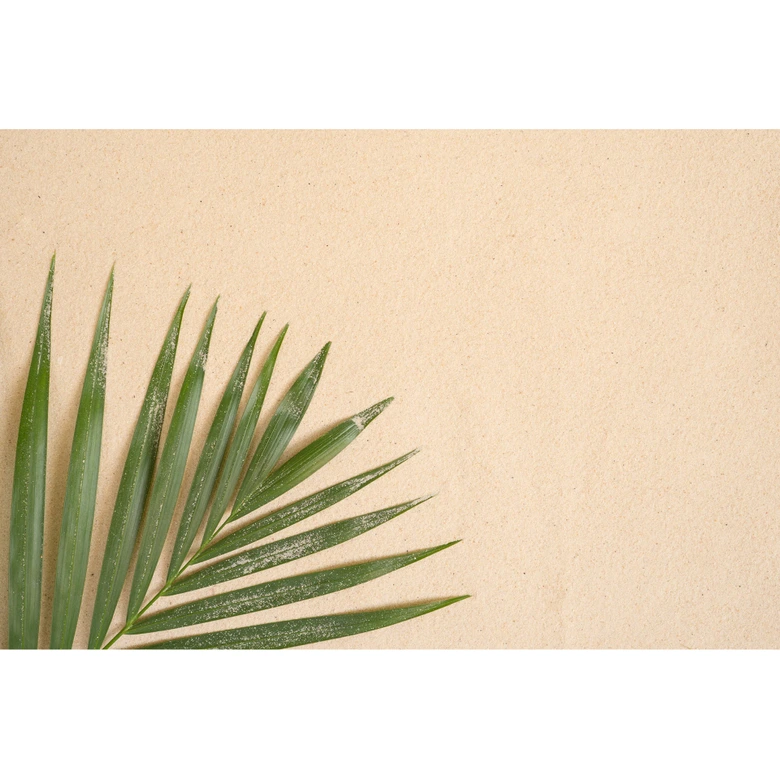 Palmblatt-Fototapete Beige Grün – 3,75 x 2,50 m – Naturmotiv Vliestapete modern 