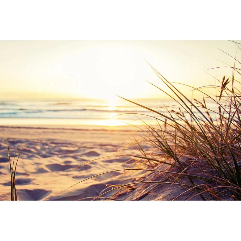 Strand-Fototapete Sonnenuntergang Beige Violett – 3,75 x 2,50 m – Vliestapete 