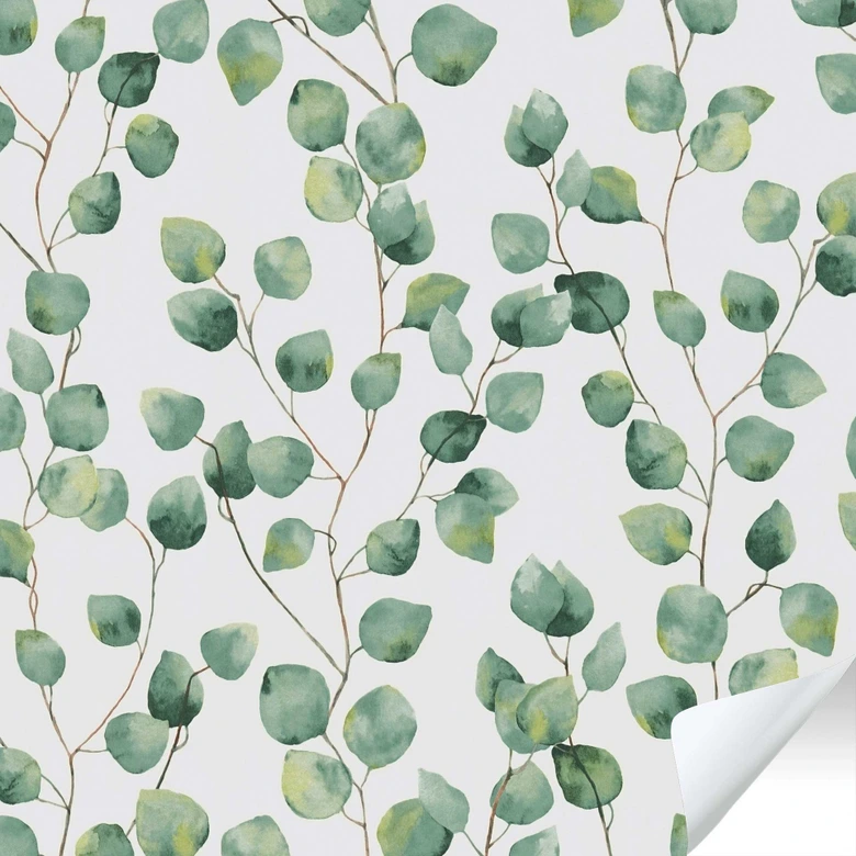 Selbstklebende Tapete & Möbelfolie - Eukalyptus-Blätter - grün, weiß - Rolle 840x53 cm  