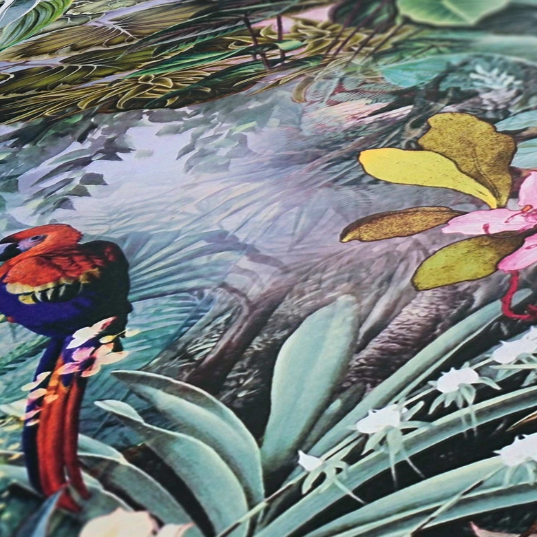 A.S. Création Dream Flowery papier peint intissé jungle 