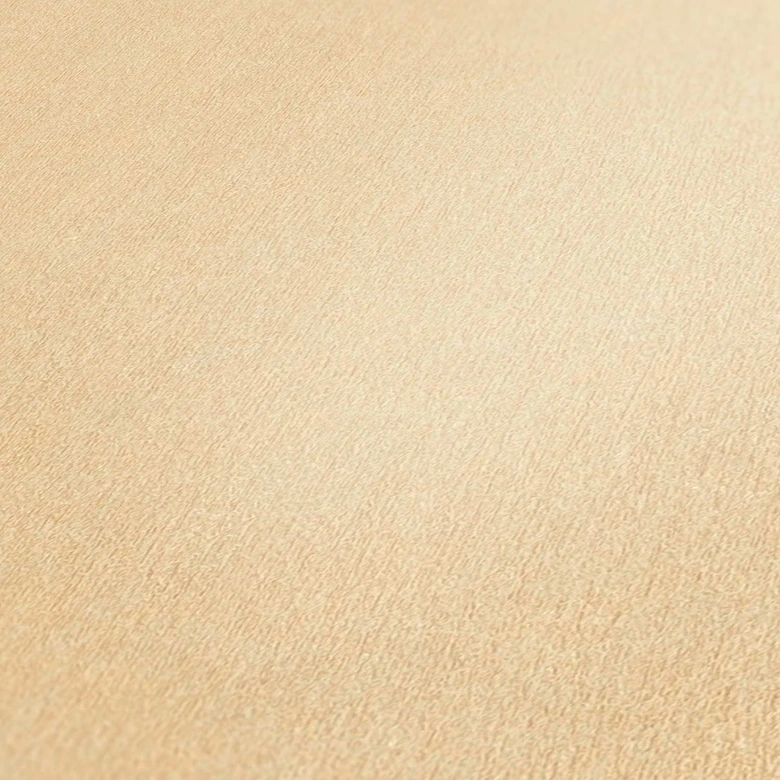 A.S. Création Unitapete Dream Flowery Vliestapete einfarbig beige 