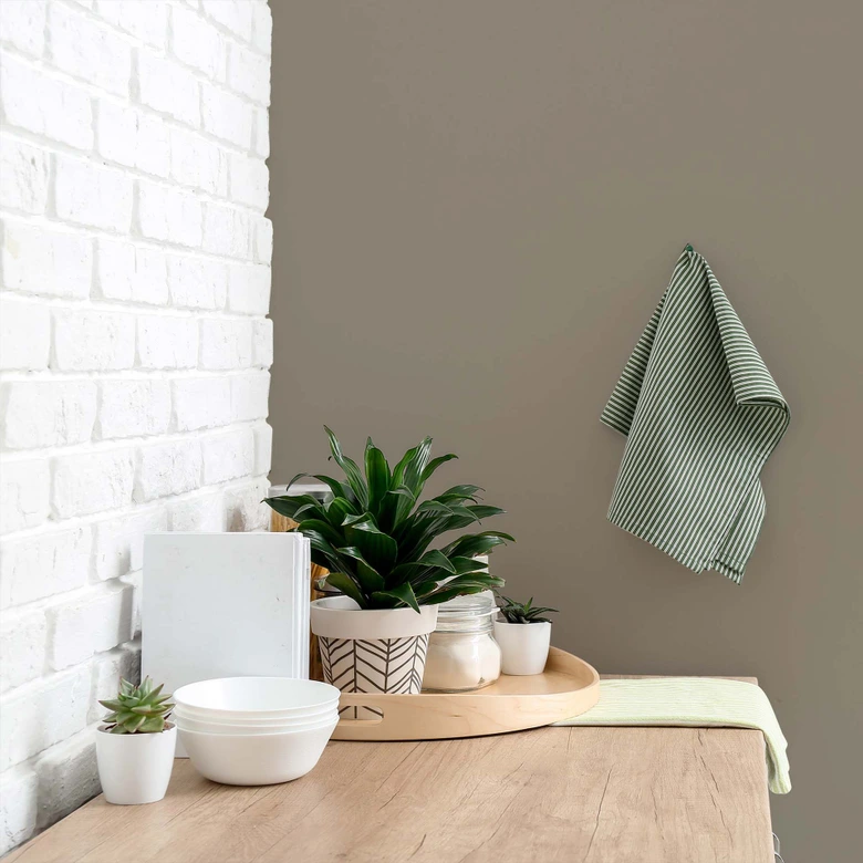 Taupe Wandfarbe seidenmatt I Aesthetic Ajwain | Atmosphäre zurückhaltender Eleganz schaffend | THE COLOR KITCHEN 
