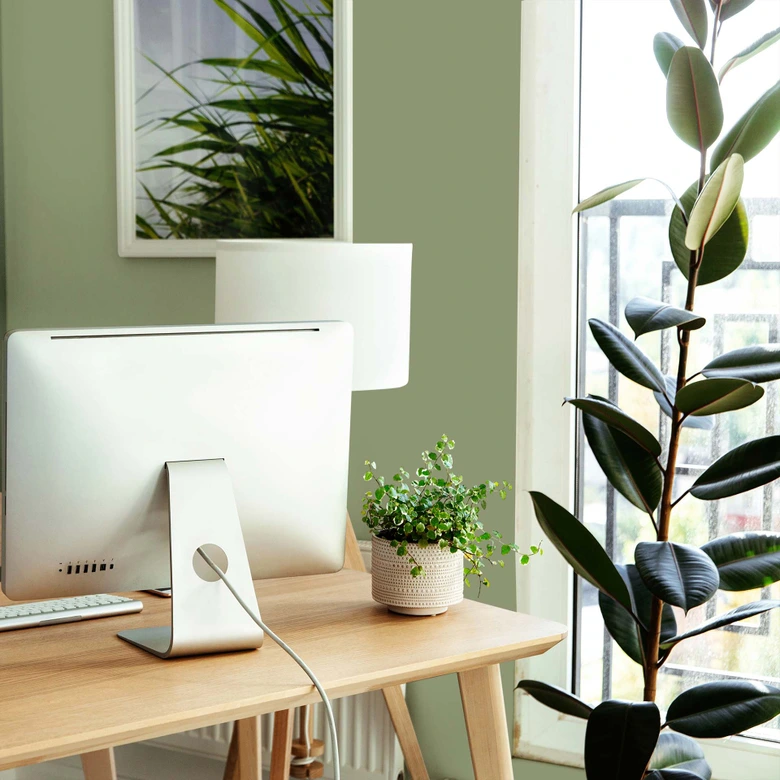 Grün Wandfarbe seidenmatt I Balmy Basil | Raumharmonie schaffend | THE COLOR KITCHEN 