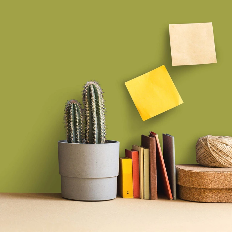 Pintura interior verde mate I Kitchy Kiwi | Crear armonía en la habitación | LA COCINA DE COLOR 