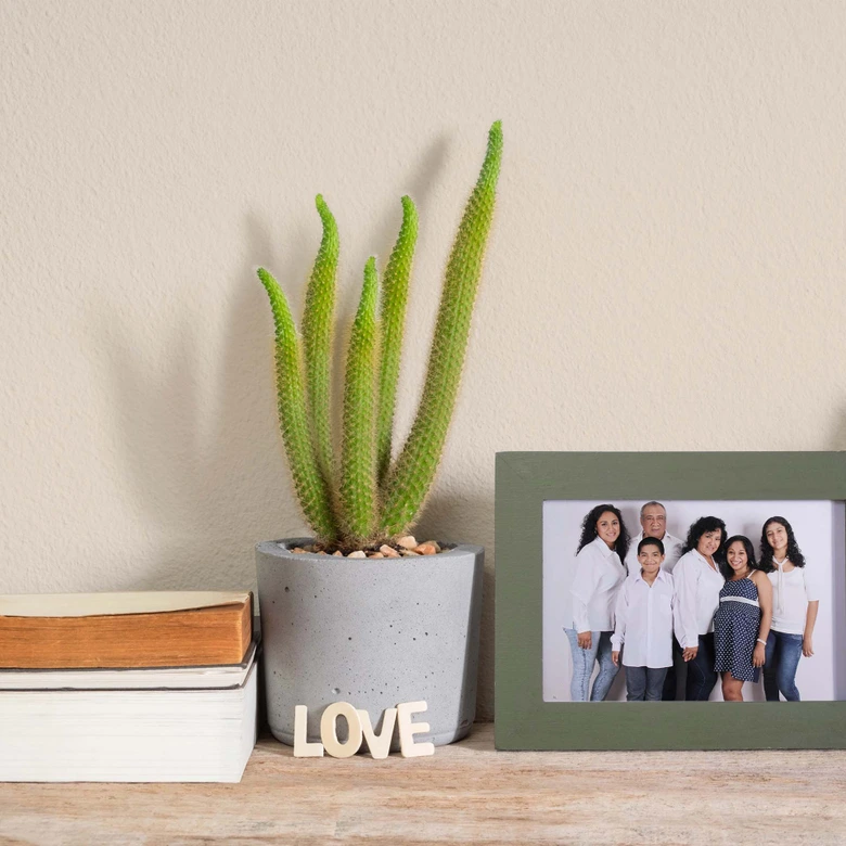 Pintura interior beige mate I Precious Popcorn | Espacios abiertos y tranquilos | THE COLOR KITCHEN 