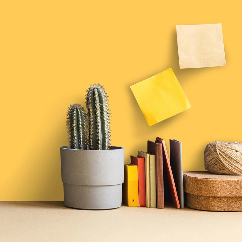 Muurverf geel zijdemat - THE COLOR KITCHEN Mighty Mango 