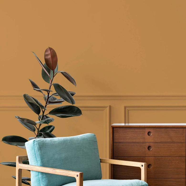 Orange Wandfarbe seidenmatt I Salted Caramel | energiegeladen begeisternd | THE COLOR KITCHEN 