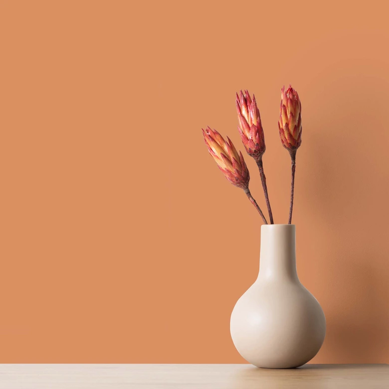 Orange Wandfarbe seidenmatt I Pretty Pumpkin | energiegeladen begeisternd | THE COLOR KITCHEN 