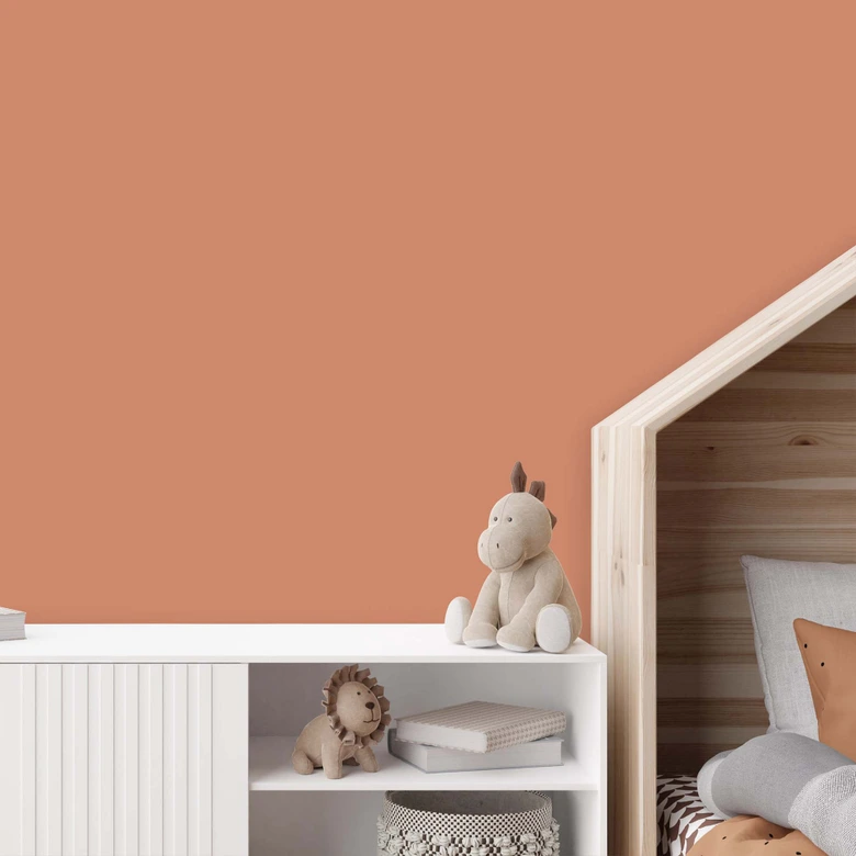 Orange Wandfarbe seidenmatt I Ruddy Rosehip | energiegeladen begeisternd | THE COLOR KITCHEN 