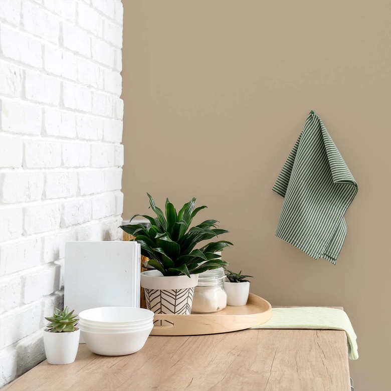 Beige Wandfarbe seidenmatt I Flat White Coffee | Raum öffnend und beruhigend | THE COLOR KITCHEN 