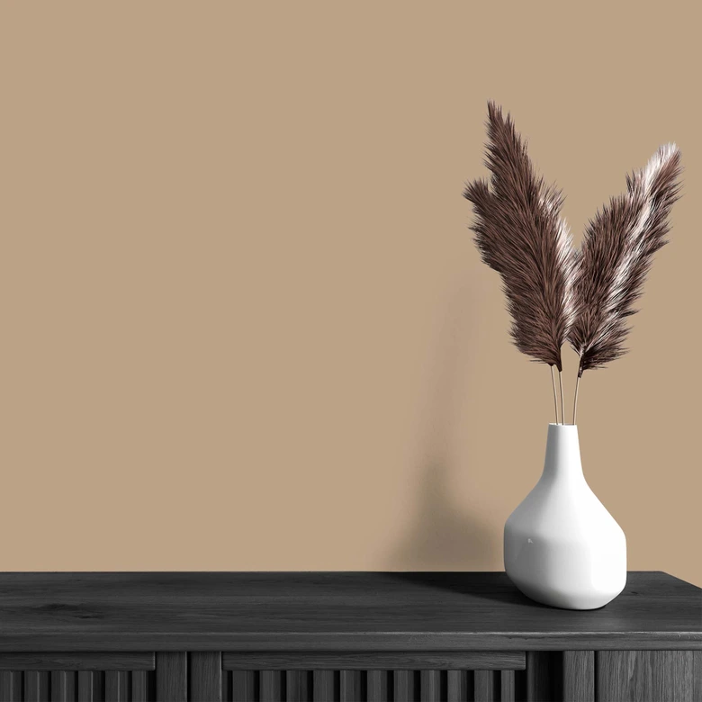 Pintura interior marrón mate I Friendly Fennel | crear un ambiente acogedor y tranquilo | LA COCINA DE COLOR 