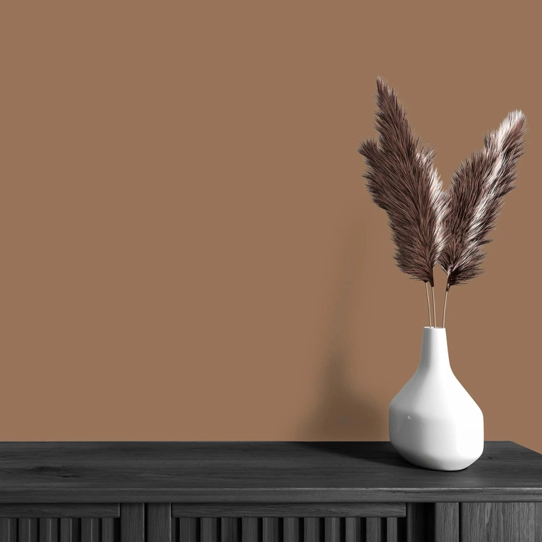 Peinture murale marron soyeux mat - THE COLOR KITCHEN Awesome Anis 