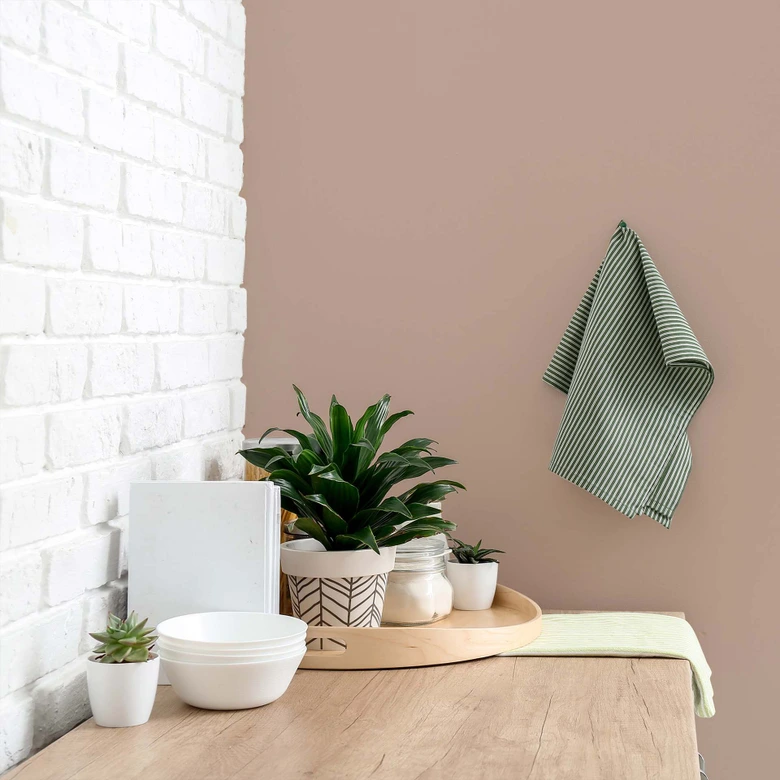 Braun Wandfarbe seidenmatt I Icy Chocolate | behagliche und ruhige Raumatmosphäre schaffend | THE COLOR KITCHEN 