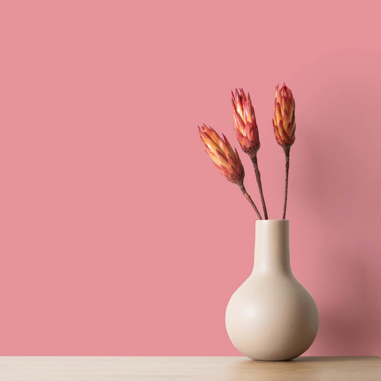 Rosa Väggfärg satin matt I Masterfully Macaron | lekfull och glad karaktär | THE COLOR KITCHEN 