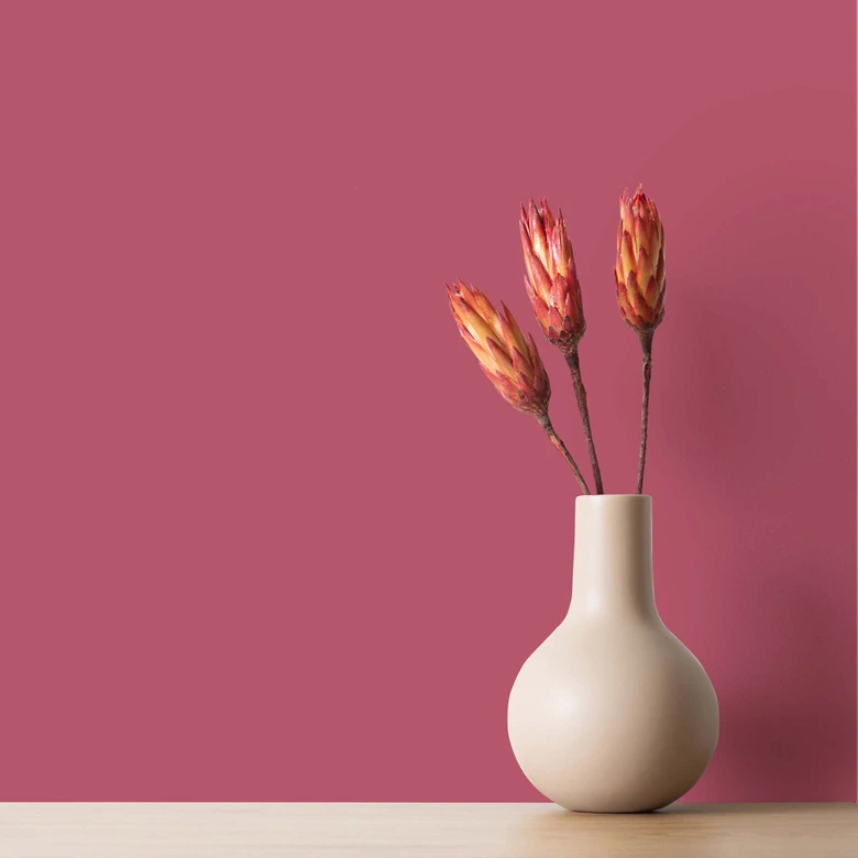 Pink Wandfarbe seidenmatt I Rosy Raspberry | verspielt und fröhlicher Charakter | THE COLOR KITCHEN 