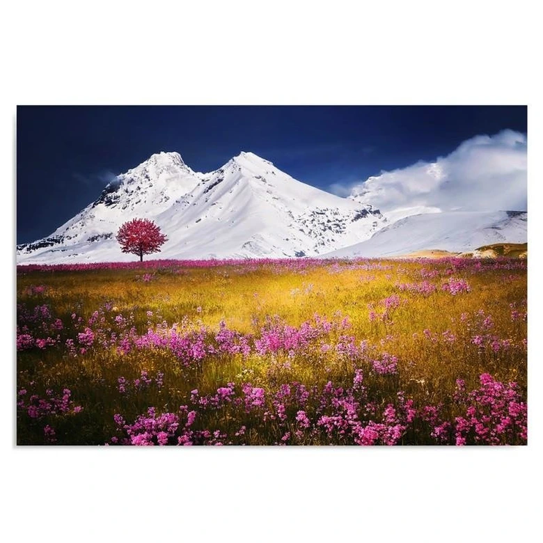 Leinwandbild, Alpen Gebirge 