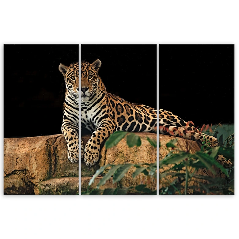 Leinwandbild 3-teilig, Leopard Panther Katze Tier 