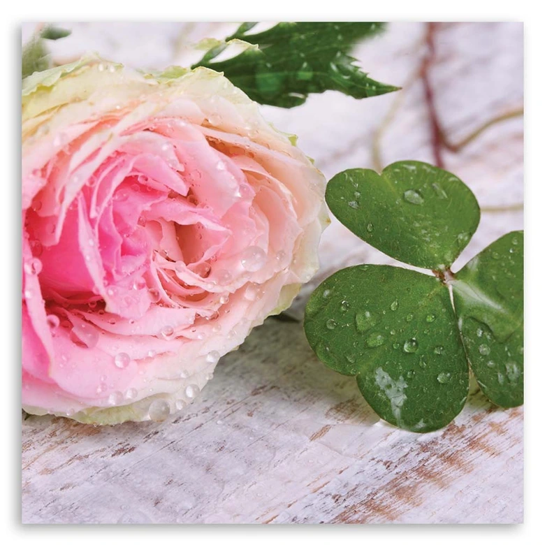 Leinwandbild, Rose Blumen Natur 