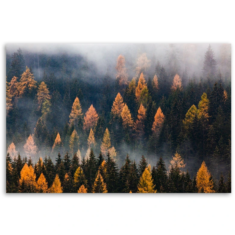 Leinwandbild, Herbstbäume 