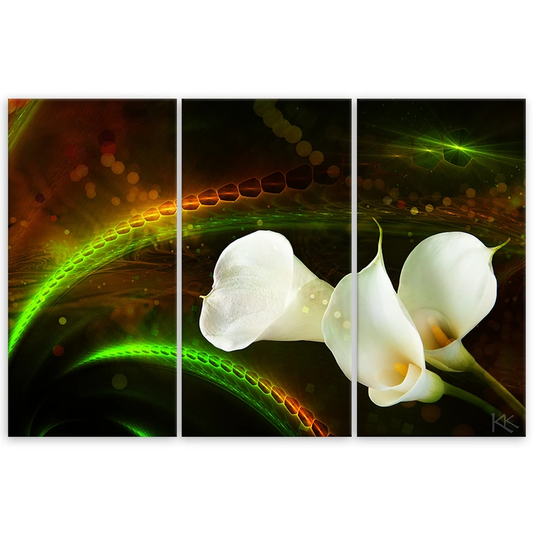 Leinwandbild 3 teilig, Weiße Blume auf braunem Hintergrund 