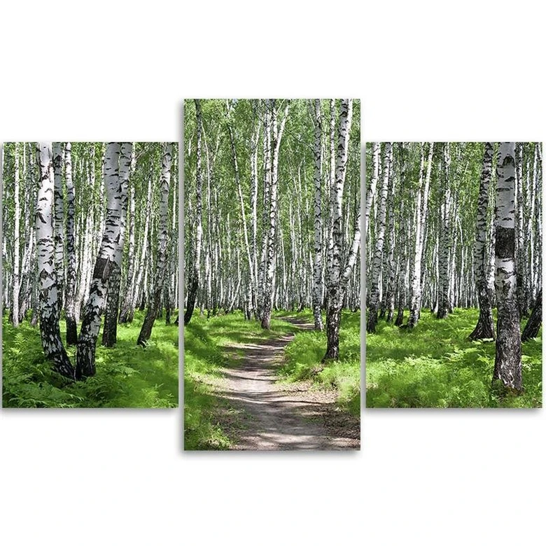 3-delige canvas print, berkenbos natuur 
