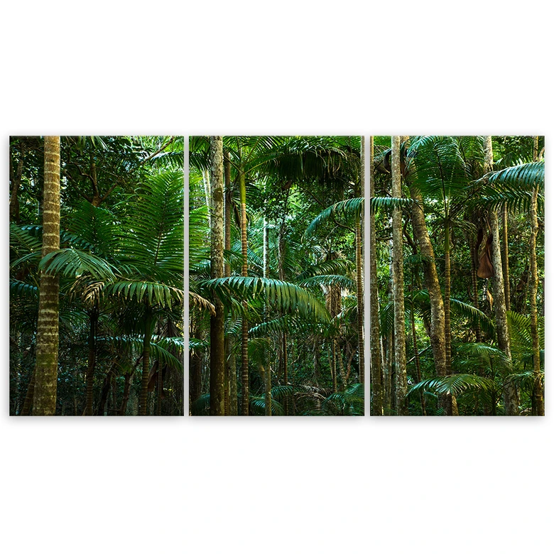 Leinwandbild 3-teilig, Regenwald Natur 