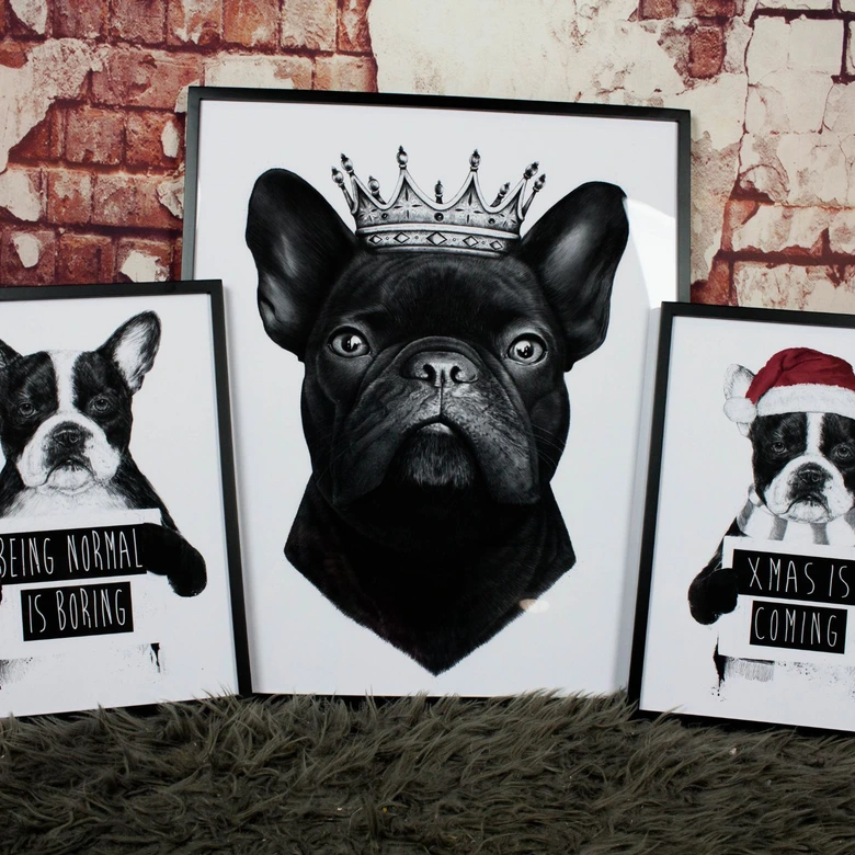 Poster Korenkova - King fransk bulldogg 