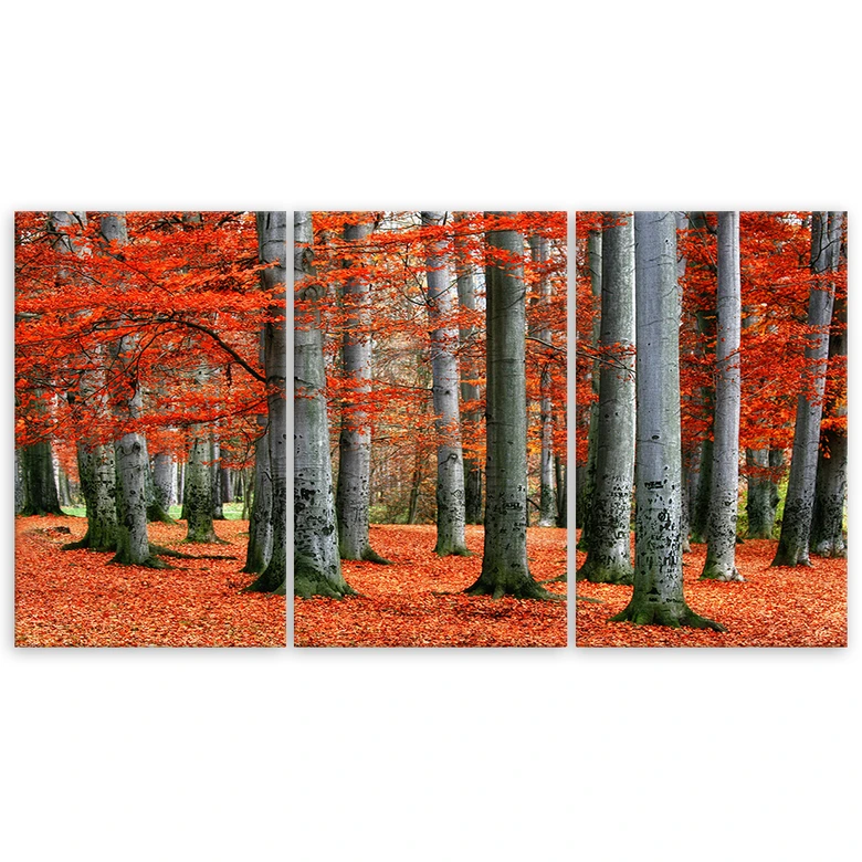 Leinwandbild 3-teilig, Wald Rot Herbst Natur 