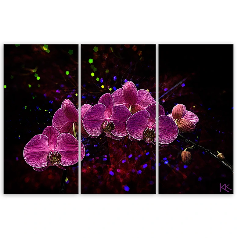 Leinwandbild 3 teilig, Orchidee auf einem dunklen Hintergrund 