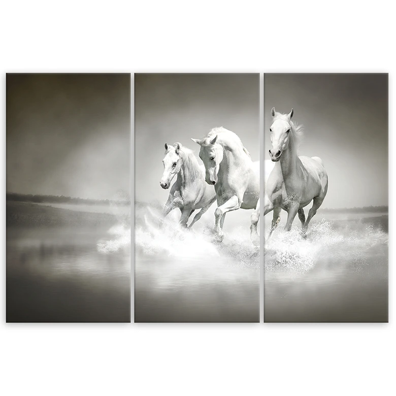 Leinwandbild 3-teilig, Galopp der weißen Pferde 