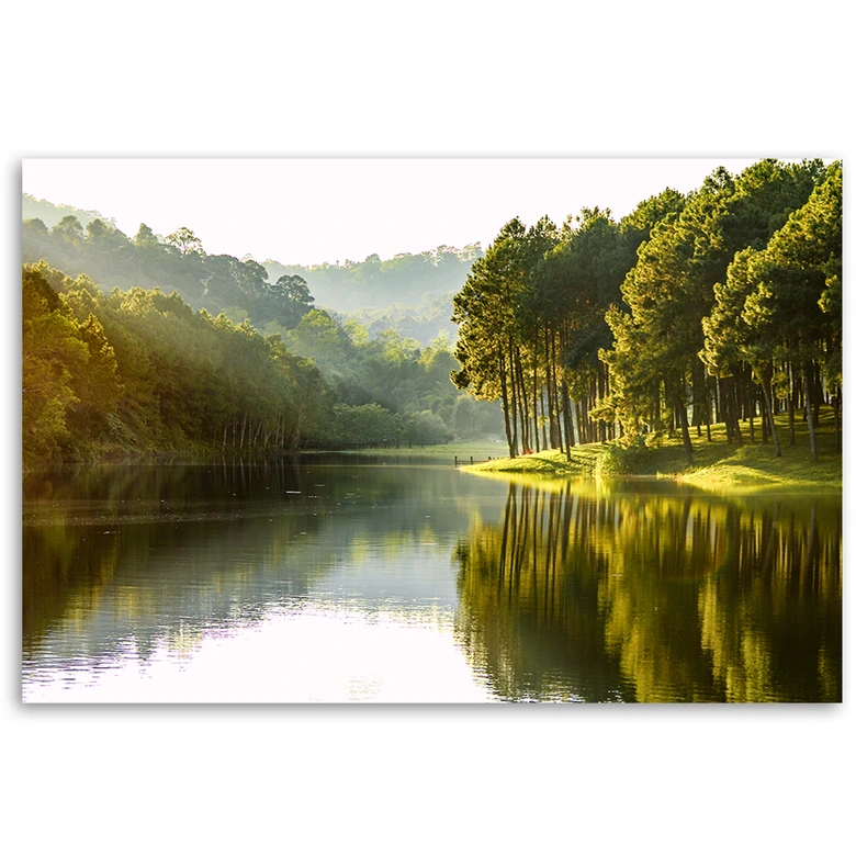 Leinwandbild, Landschaft Waldbaum Natur 