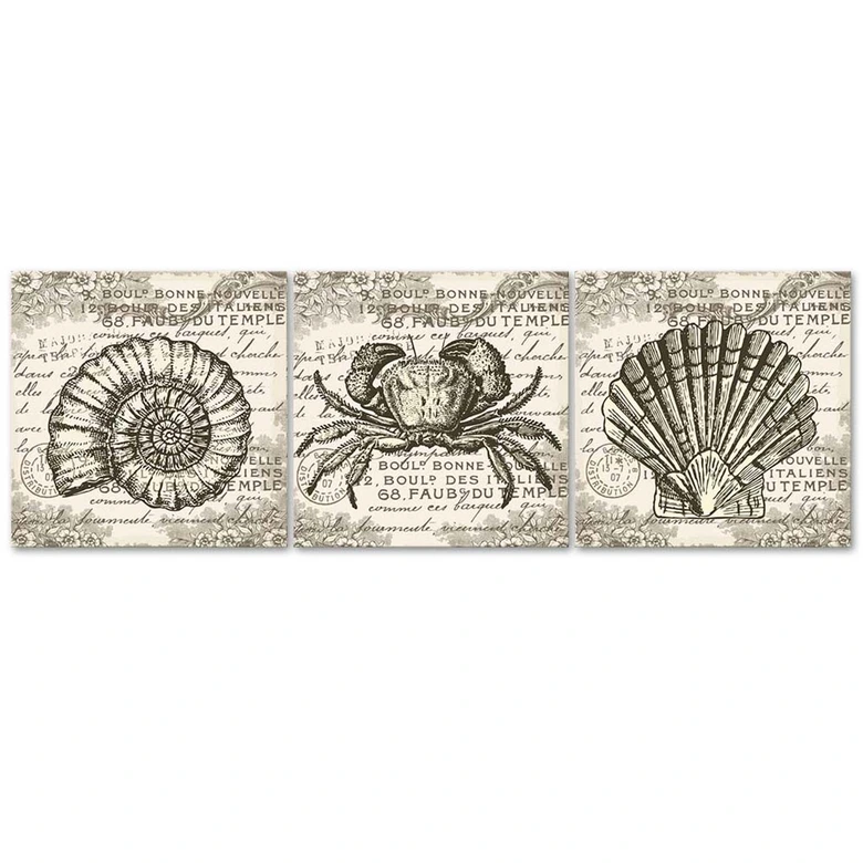 Leinwandbild 3-teilig, Retro-Muscheln 