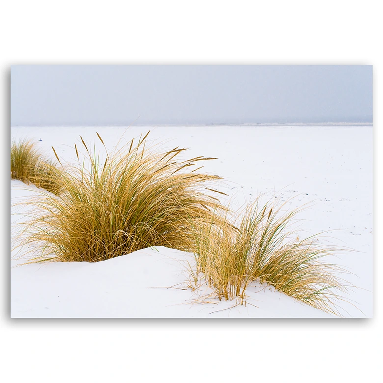 Leinwandbild, Dünen auf goldenem Sand 