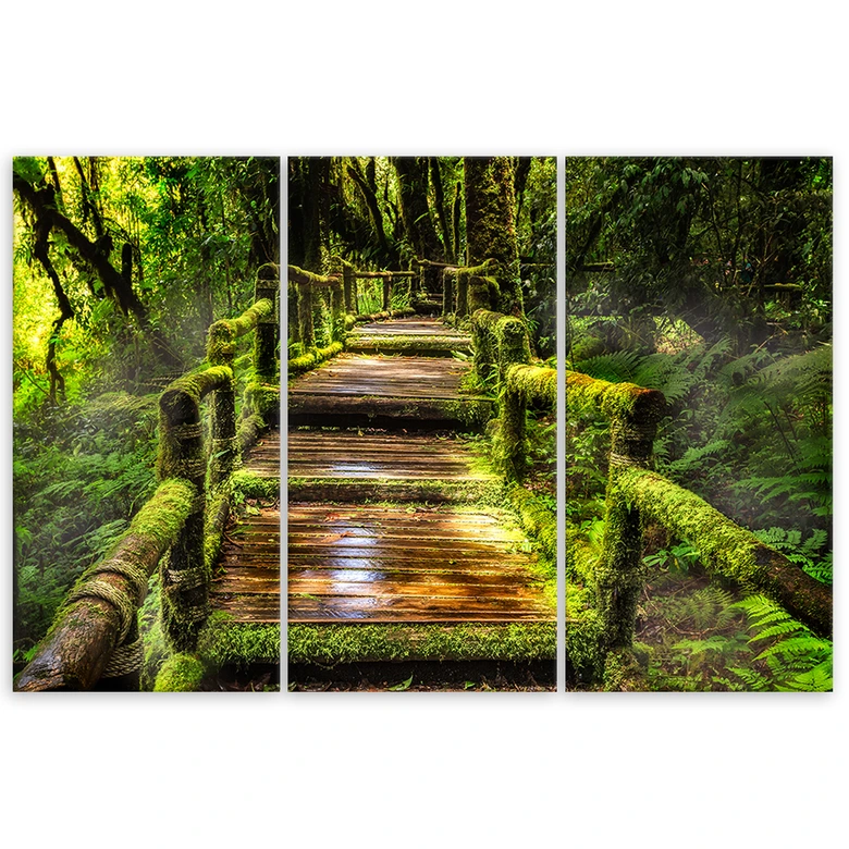 Leinwandbild 3-teilig, Waldweg Natur Grün 