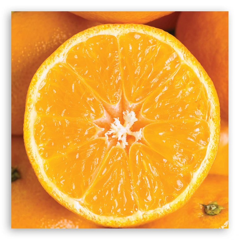 Leinwandbild, Obst Orange Makro 