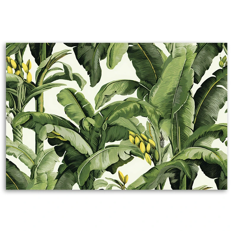 Canvas Schilderij, Groene bananenbladeren 