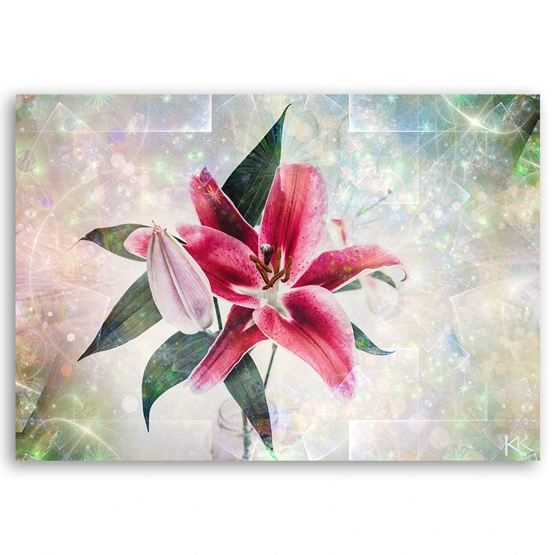 Canvas schilderij, Roze lelie 