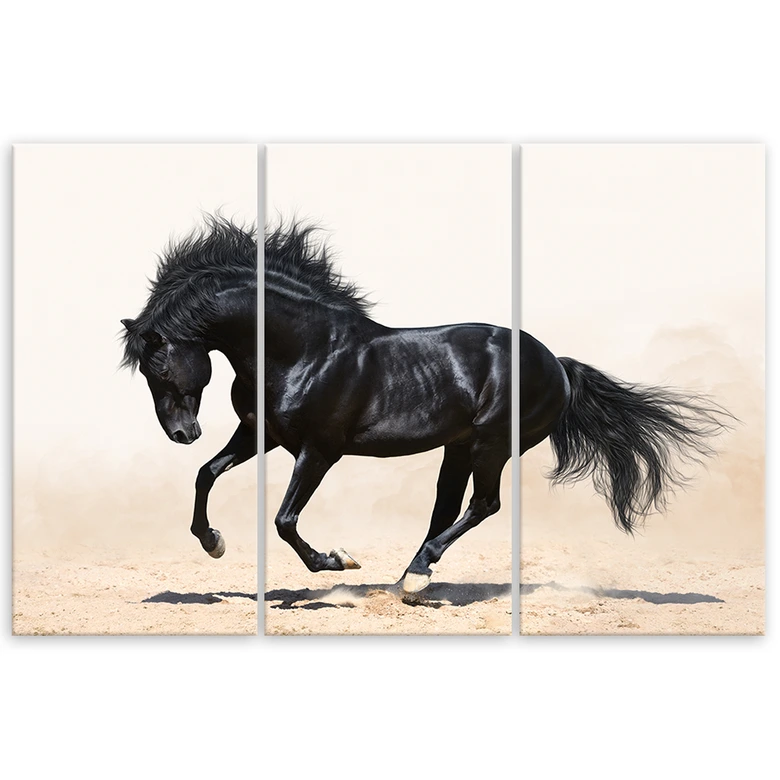Leinwandbild 3-teilig, Galopp des schwarzen Pferdes 