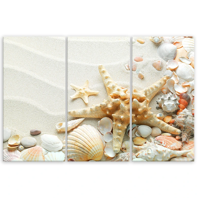 Leinwandbild 3-teilig, Seestern und Muscheln 